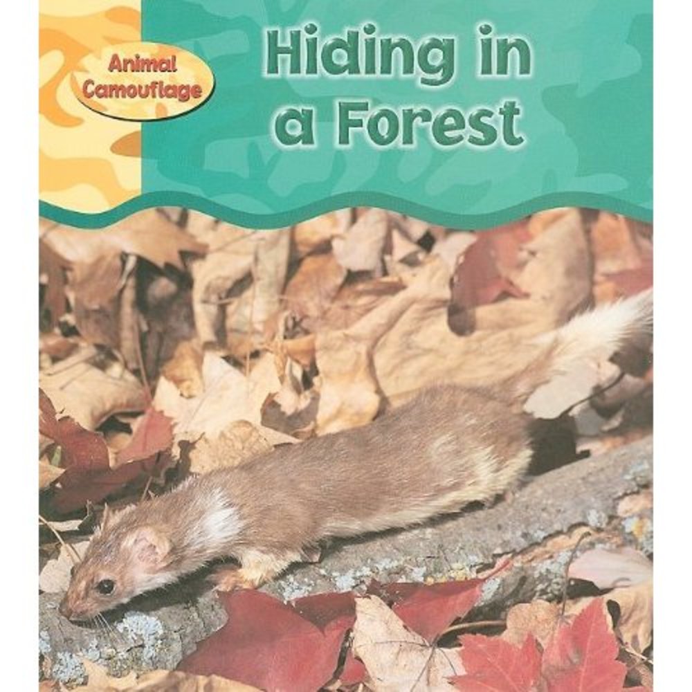 Hiding in a Forest (Animal Camouflage) (Paperback)